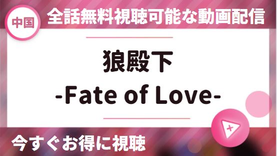 中国ドラマ｜狼殿下-Fate of Love-の動画を日本語字幕で全話無料視聴できる配信サイト