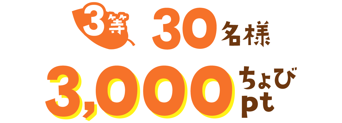 3等30名様3,000ちょびpt