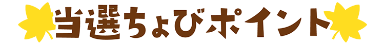 当選ちょびポイント