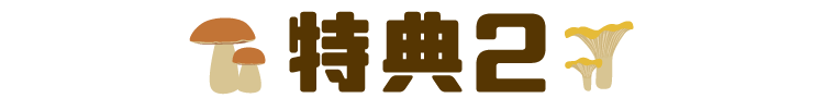 特典内容